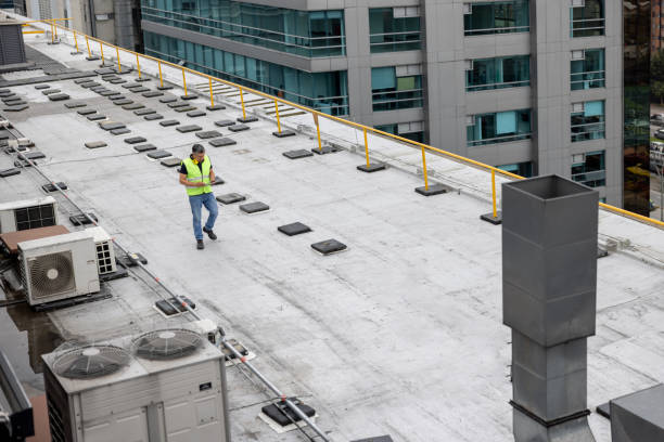 Best Skylight Installation and Repair  in Panthersville, GA