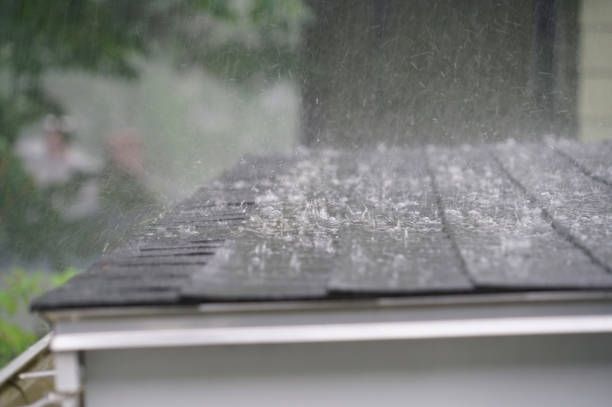 Best Emergency Roof Repair Services  in Panthersville, GA