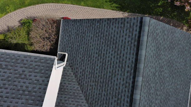 Professional Roofing Services in Panthersville, GA